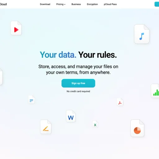 Cloud storage for project backups, assets, and long-term files